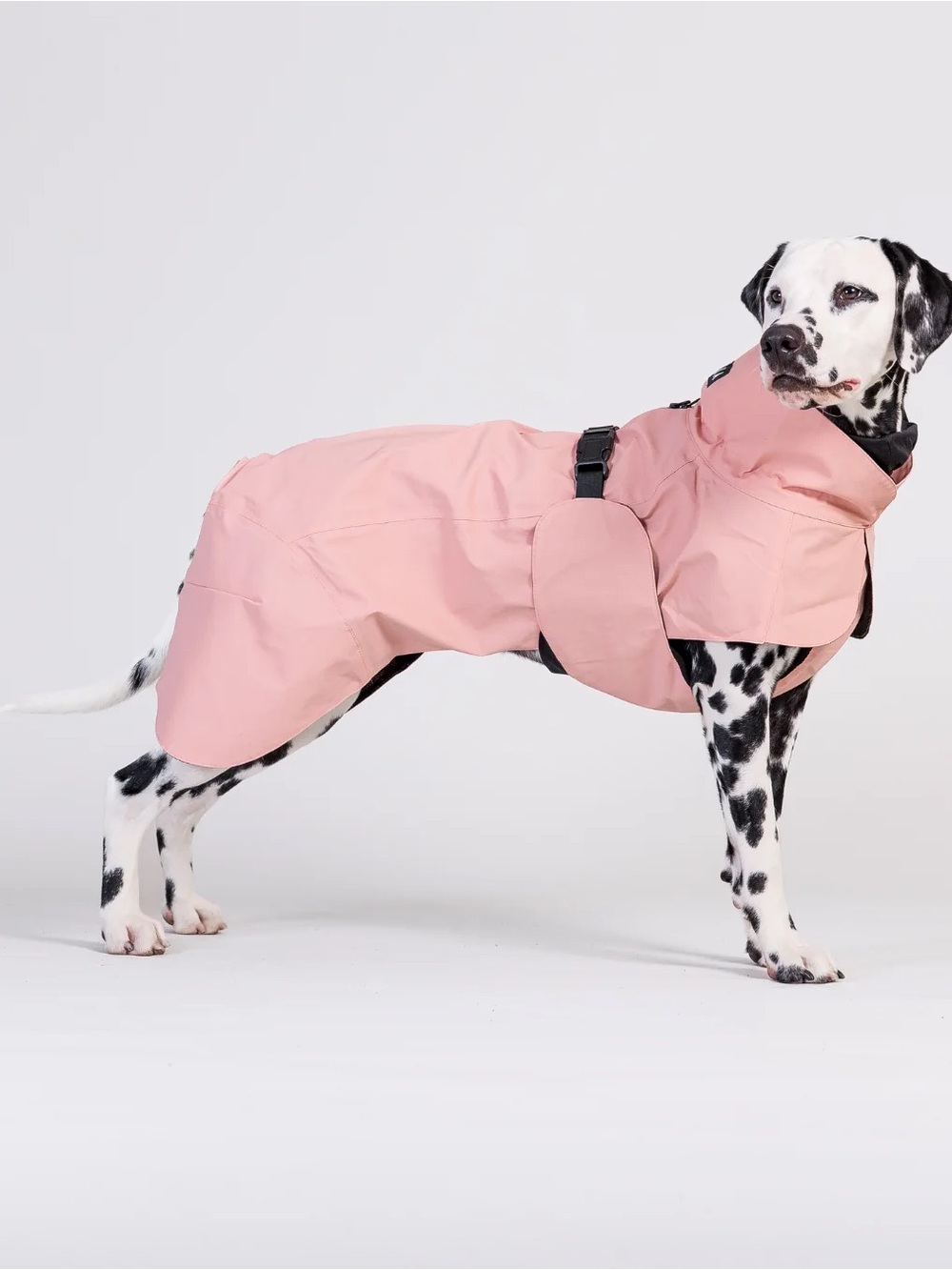 PAIKKA Visibility Dog Raincoat Lite - light rose Size 35 - Picture 6 of 9